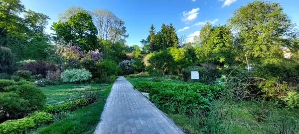 Пензенский ботанический сад