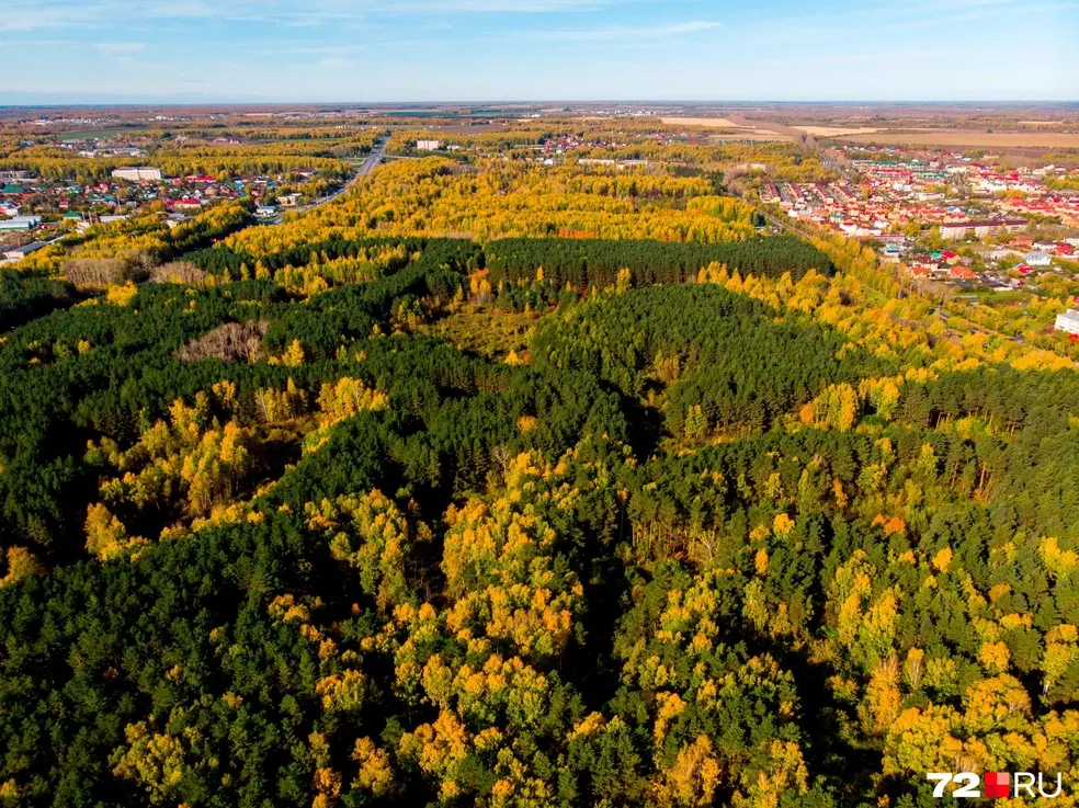 Затюменский, фото 2