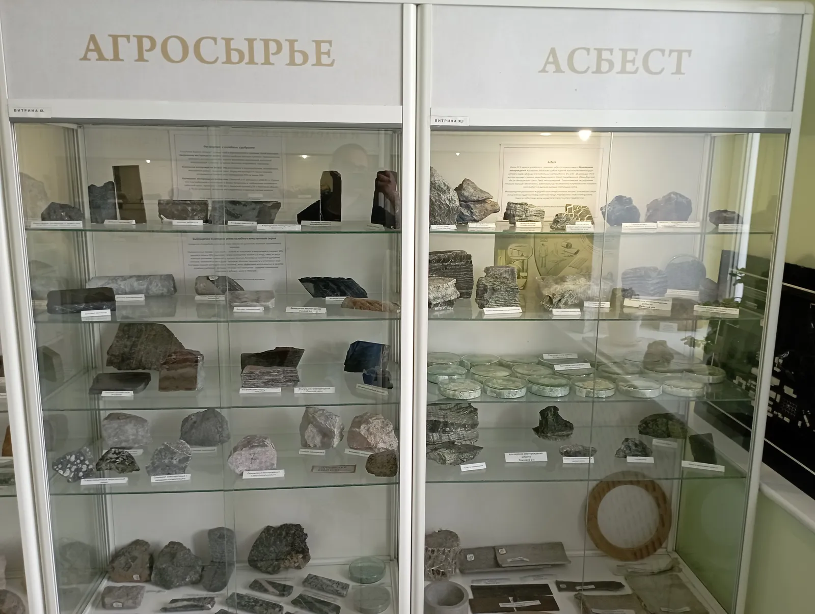 Геологический музей, фото 3