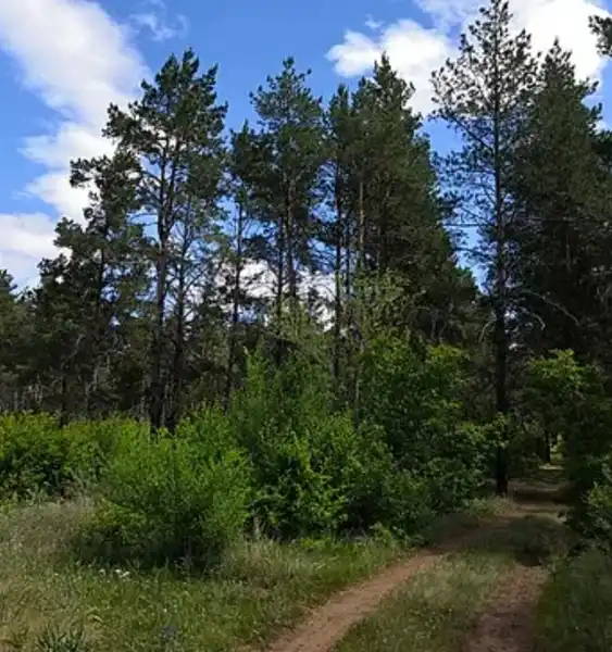 Качкарский Мар