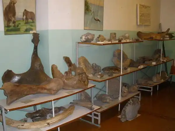 Геологический музей