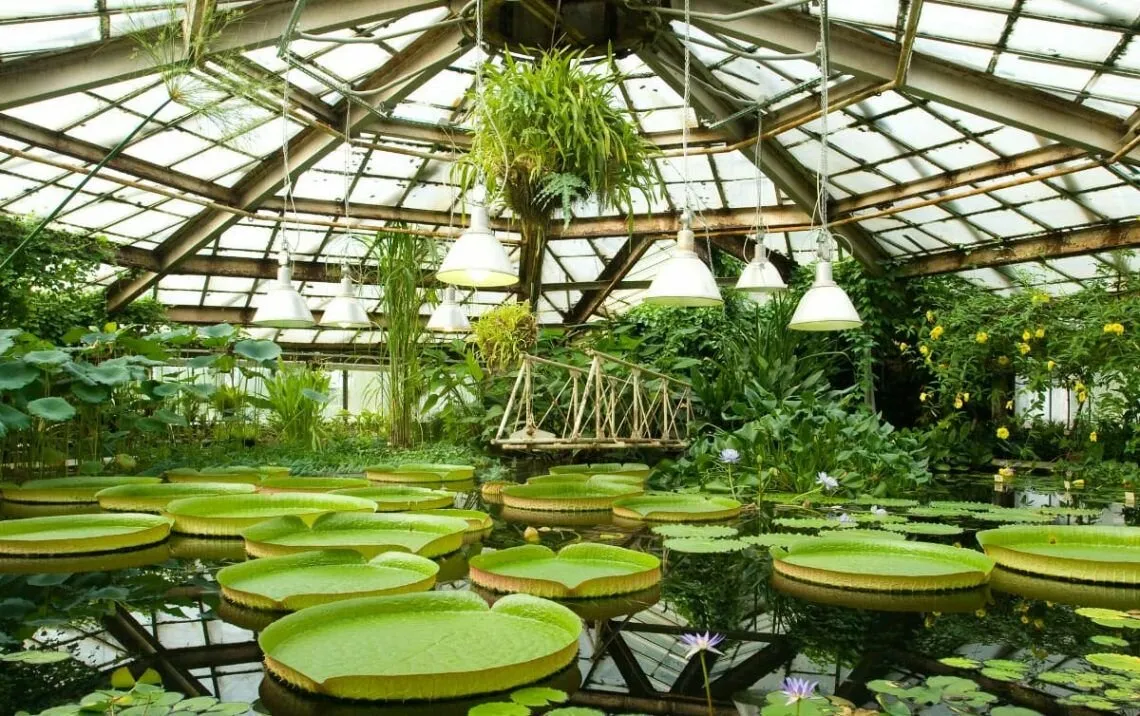 Ботанический сад Петра Великого, фото 2