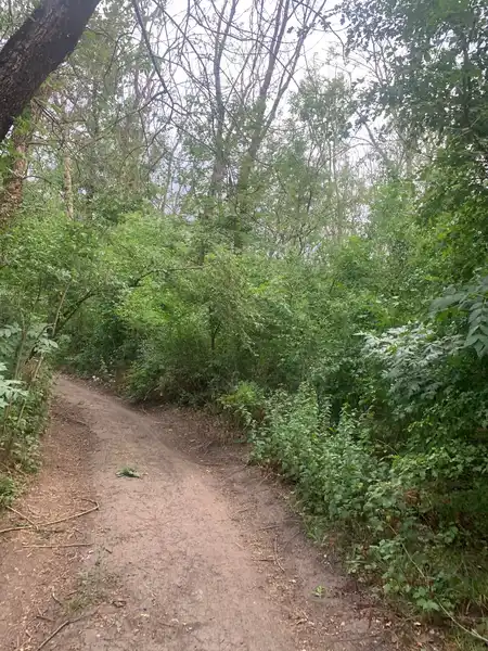 Александровская роща