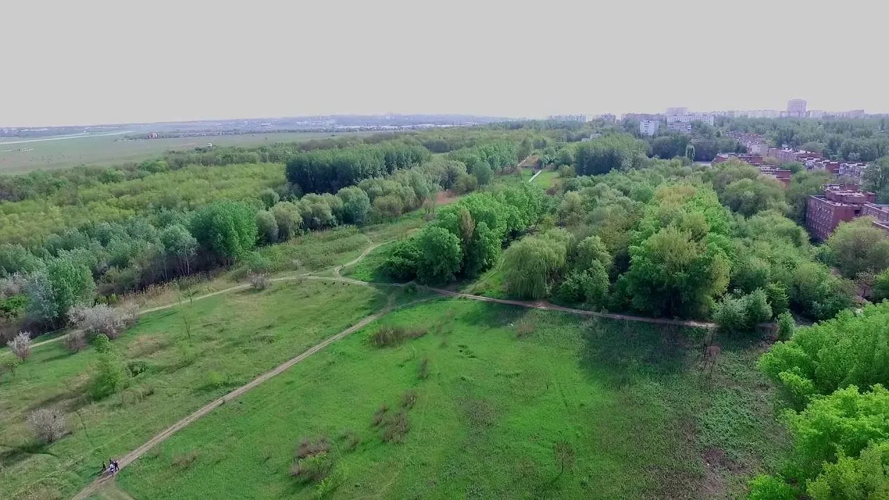 Александровская роща, фото 3