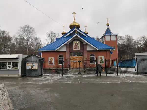Берёзовая роща