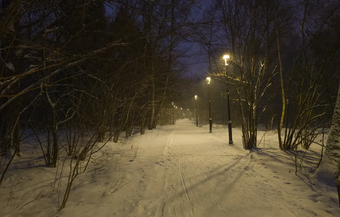 Антроповский сквер, фото 3