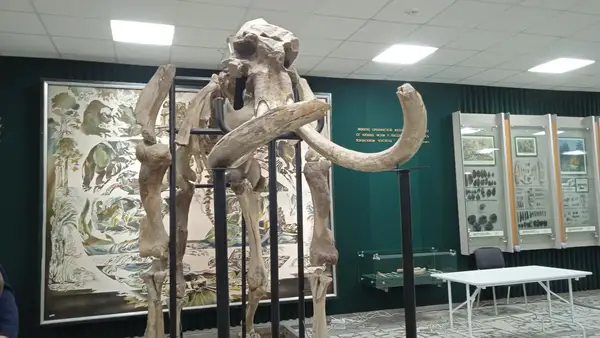 Брянский государственный краеведческий музей