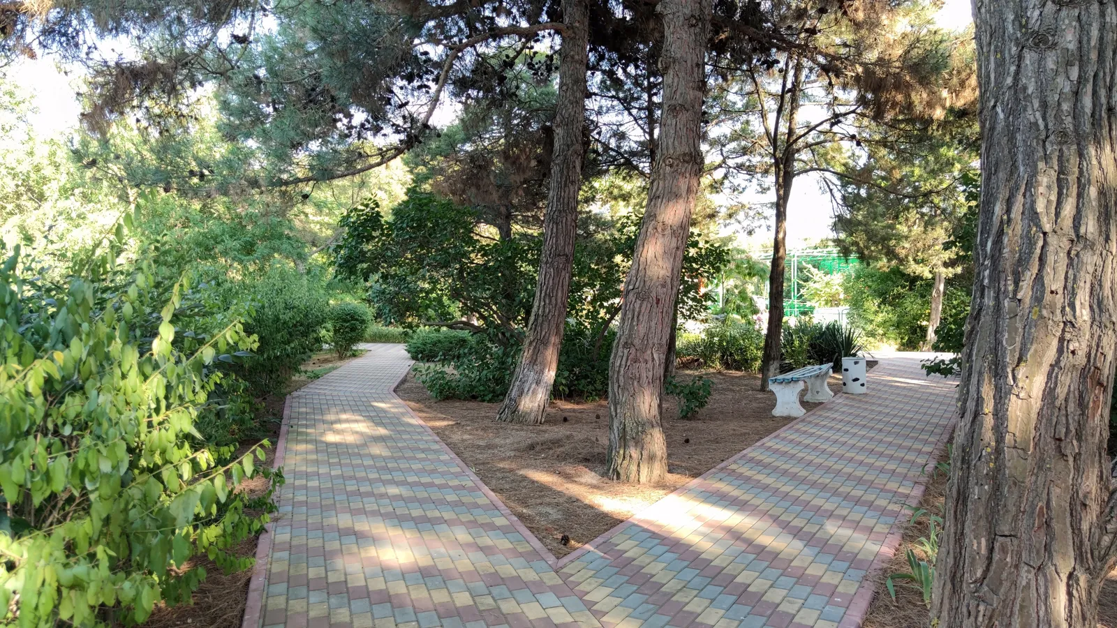 Евпаторийский дендропарк