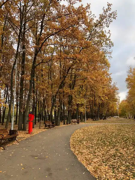 Воронежская роща