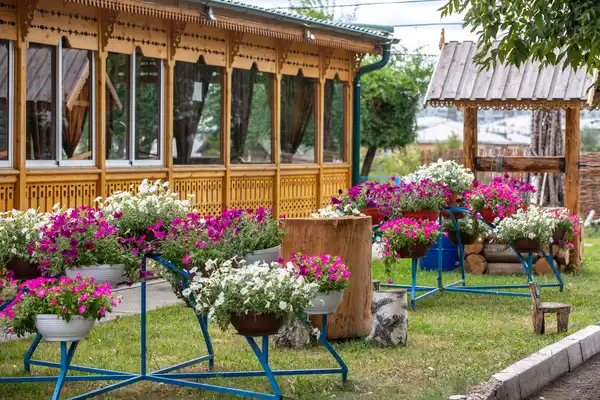 Кафе Роща