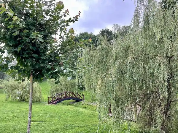 Финский парк (Парк Куопио)