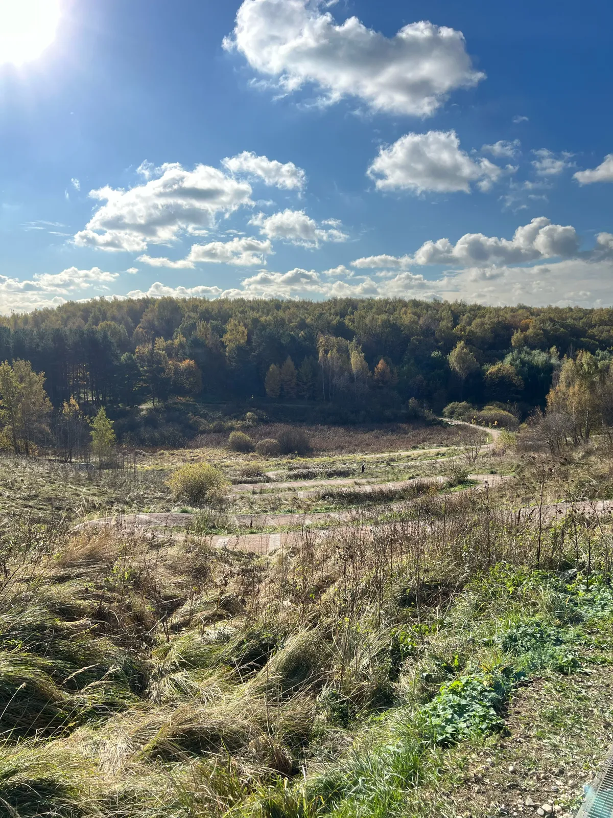 Бирюлёвский лесопарк