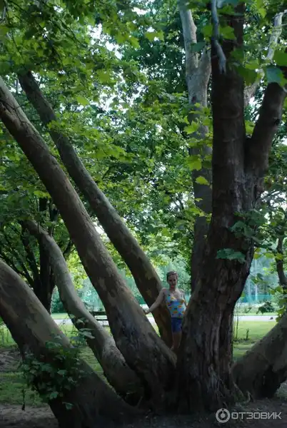 Солнечный остров