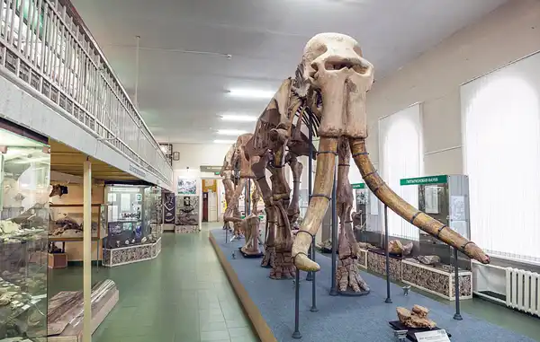 Ставропольский государственный краеведческий музей имени Г. Н. Прозрителева и Г. К. Праве