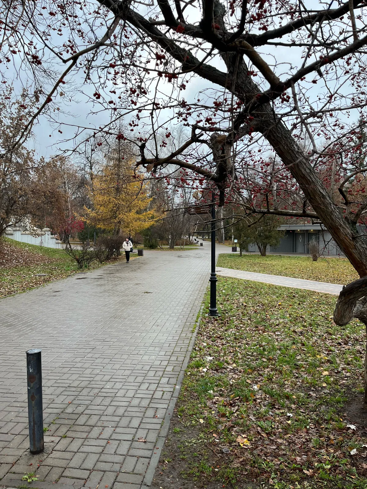 Ленинский сад, фото 3
