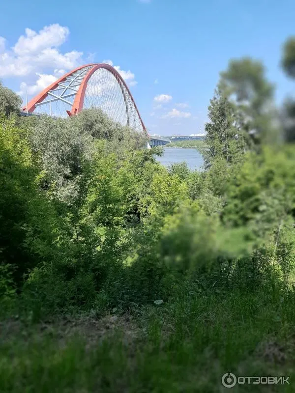 Бугринская роща, фото 2