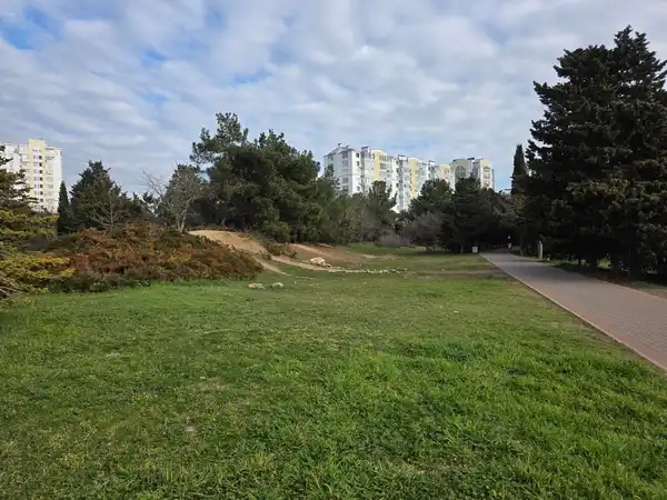 Студенческий парк