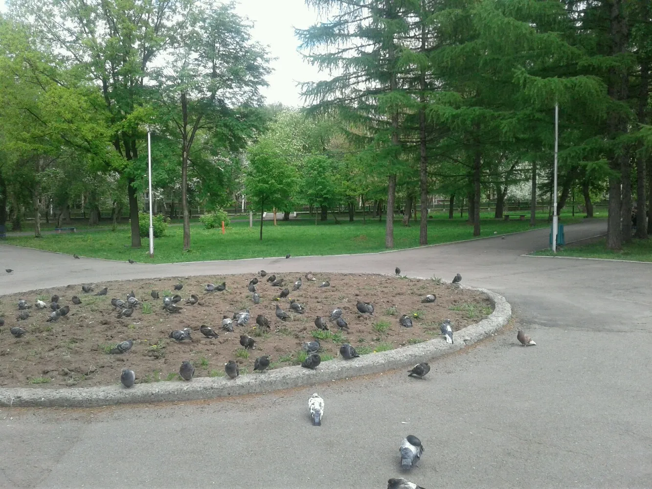Пионерский сквер, фото 3