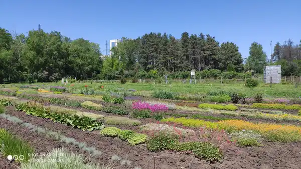 Ставропольский ботанический сад им. В.В. Скрипчинского