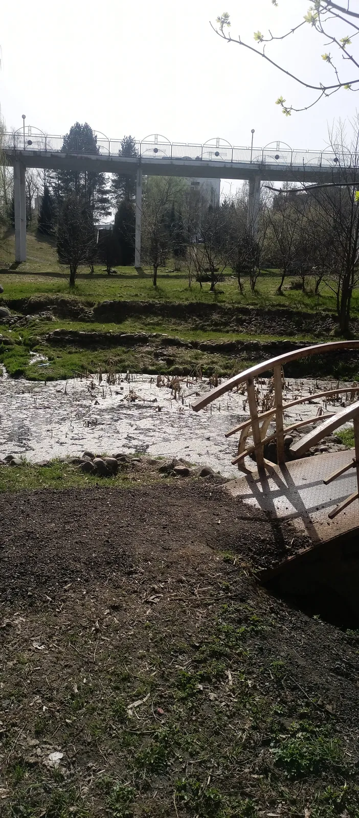 Звёздный парк, фото 3