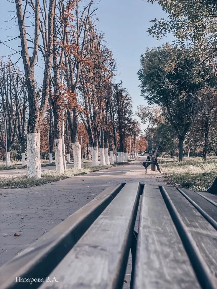 Прогулка по Александровскому парку — Экскурсии и прогулки, Шахты