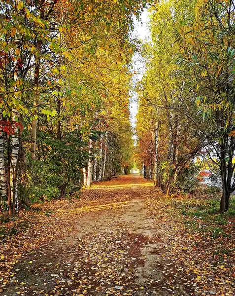 Прогулка в парке им. С. М. Кирова — Экскурсии и прогулки, Сыктывкар