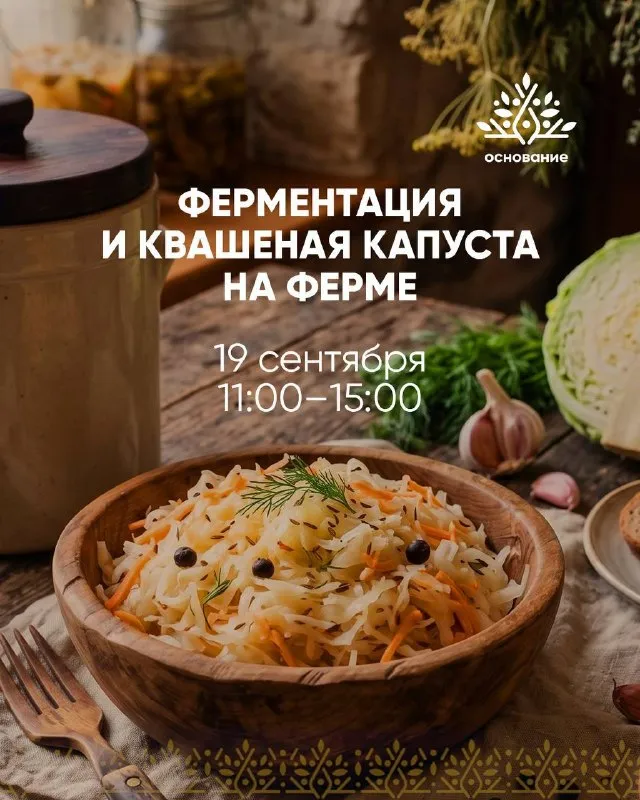 Мастер-класс «Ферментация и квашеная капуста на ферме» — Мастер-классы и обучение, Тольятти