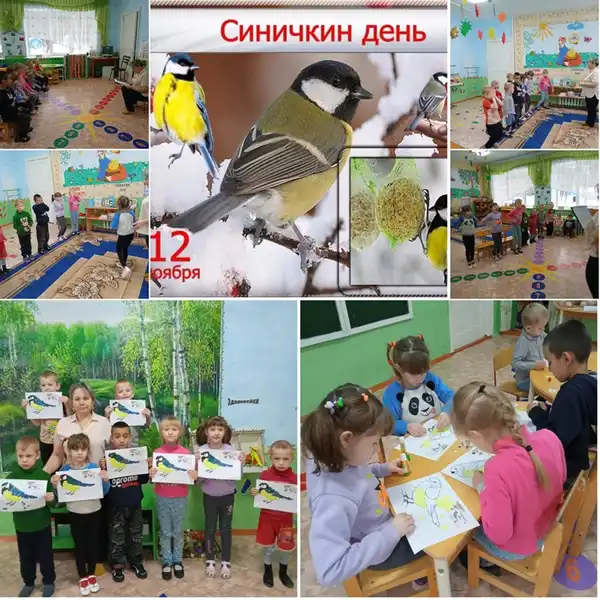 Экологическое занятие «Синичкин день» — Детям, Братск