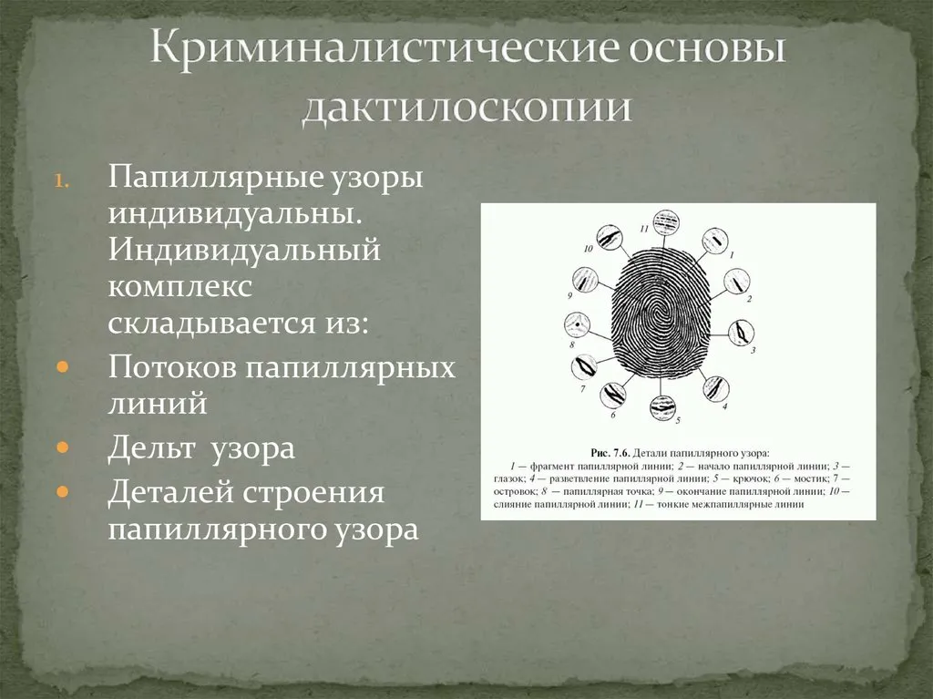 Лекция с мастер-классом «Основы криминалистической дактилоскопии» — Мастер-классы и обучение, Барнаул
