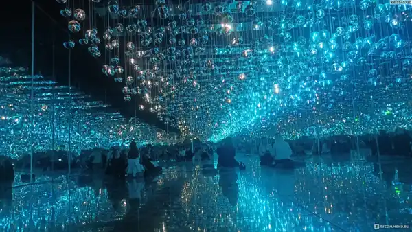 Выставка «Инсталляция Futurione» — Выставки, Москва