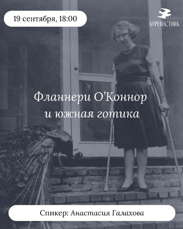 Мастер-класс «Лекция о Фланнери О’Коннор и южной готике» — Мастер-классы и обучение, Ростов-на-Дону