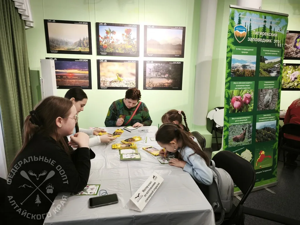 Площадка «Заповедные истории» с экоиграми и фотосессией — Другое, Барнаул