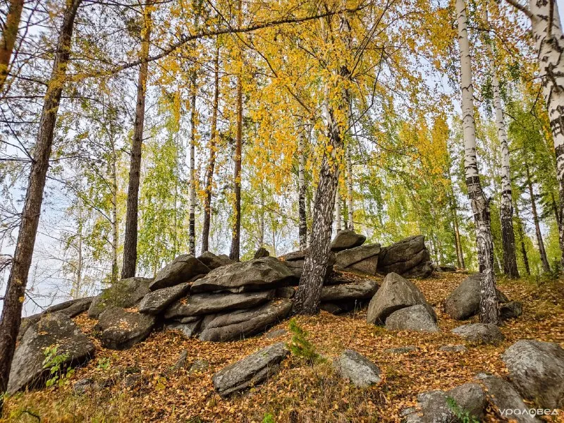 Праздник «Осенины» на Шарташе — Городские события, Екатеринбург