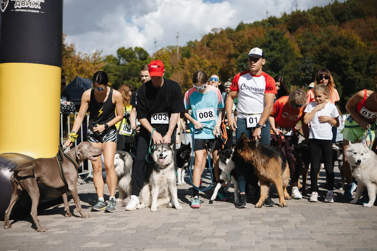 Фестиваль «Кинологический фестиваль Dog Picnic в Абрау-Дюрсо» — Фестивали и ярмарки, Новороссийск
