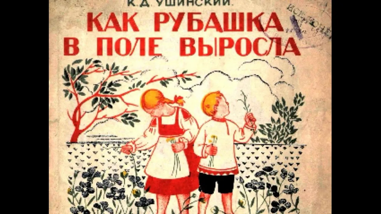 Мастер-класс «Как рубашка в поле выросла» — Мастер-классы и обучение, Братск