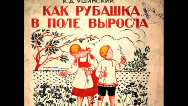 Мастер-класс «Как рубашка в поле выросла» — Мастер-классы и обучение, Братск