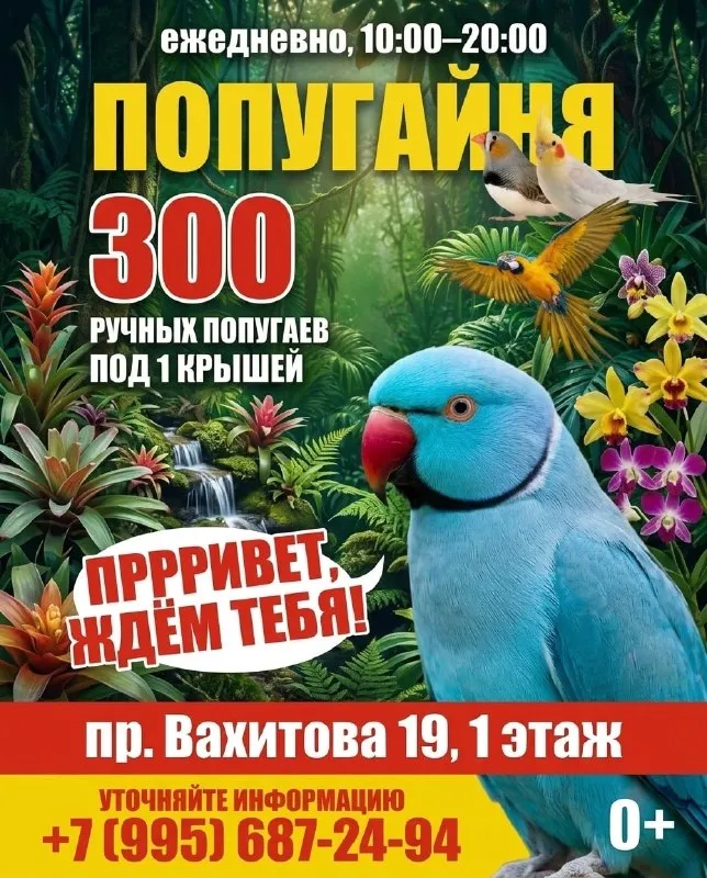 Выставка ручных попугаев в Попугайне — Выставки, Набережные Челны
