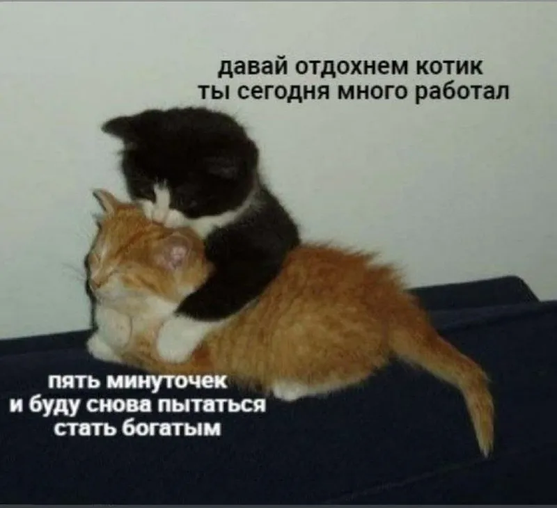 Выставка «Такая разная… и все-таки живопись» — Выставки, Казань