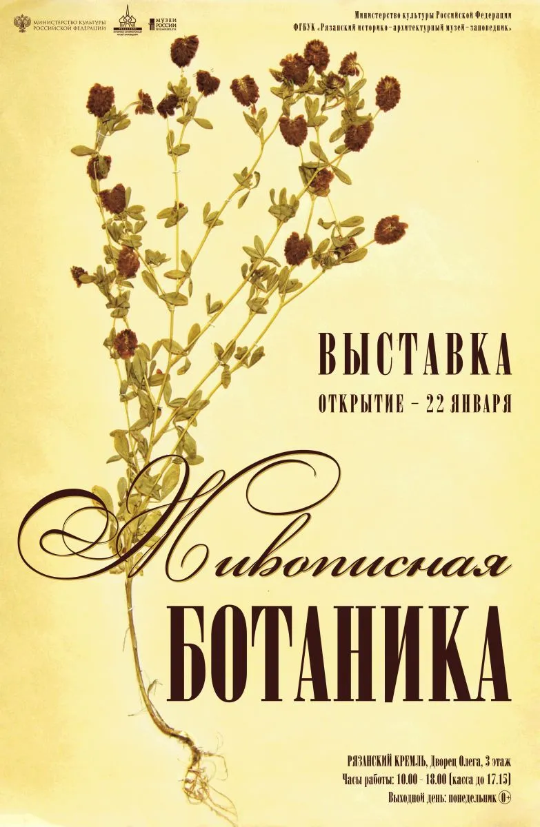 Сборная тематическая экскурсия по выставке «Живописная ботаника» — Экскурсии и прогулки, Новокузнецк