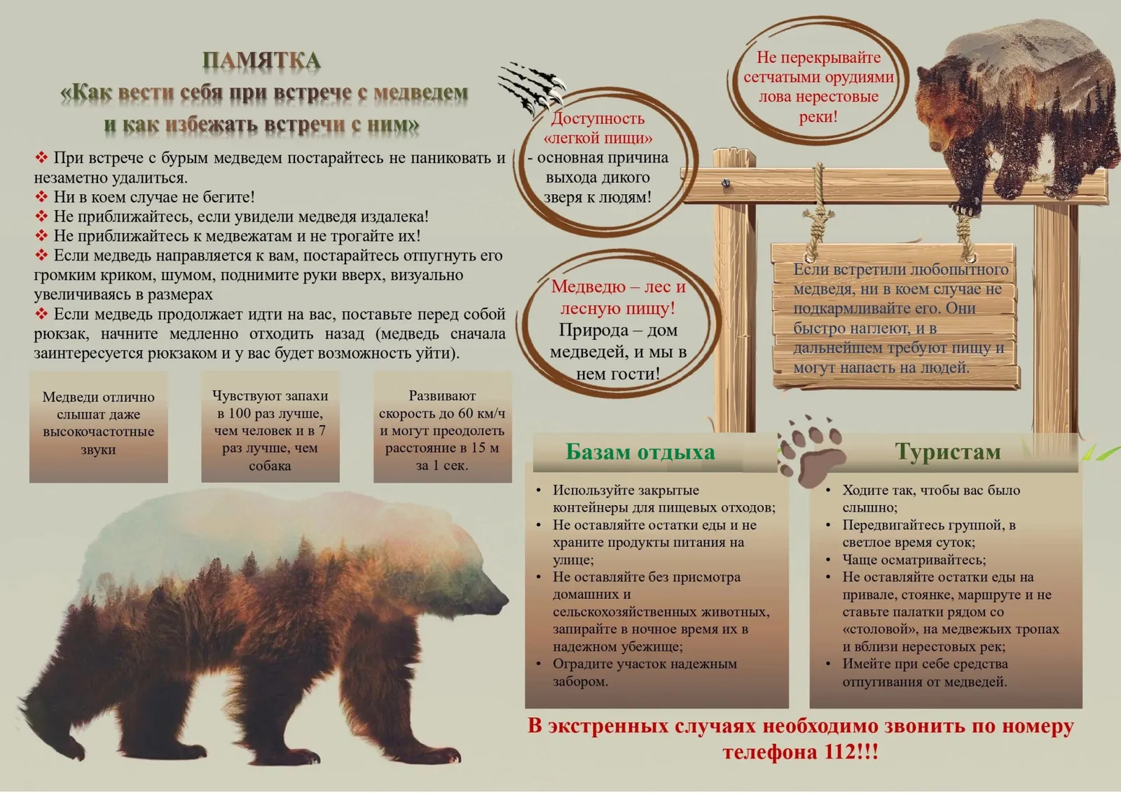 Семейная развлекательная программа «Дикие животные: как выжить в тайге» — Детям, Череповец