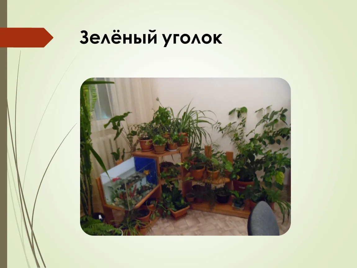 Лекция «Спешить нельзя замедлиться: как создаются и сохраняются зеленые уголки» — Мастер-классы и обучение, Уфа