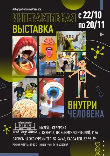 Интерактивная выставка «Внутри человека» — Выставки, Брянск