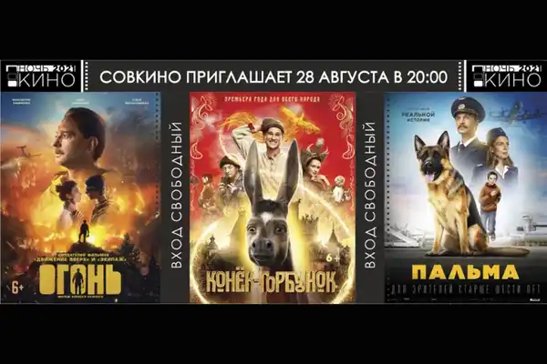 Ночь кино — Театры и кино, Хабаровск