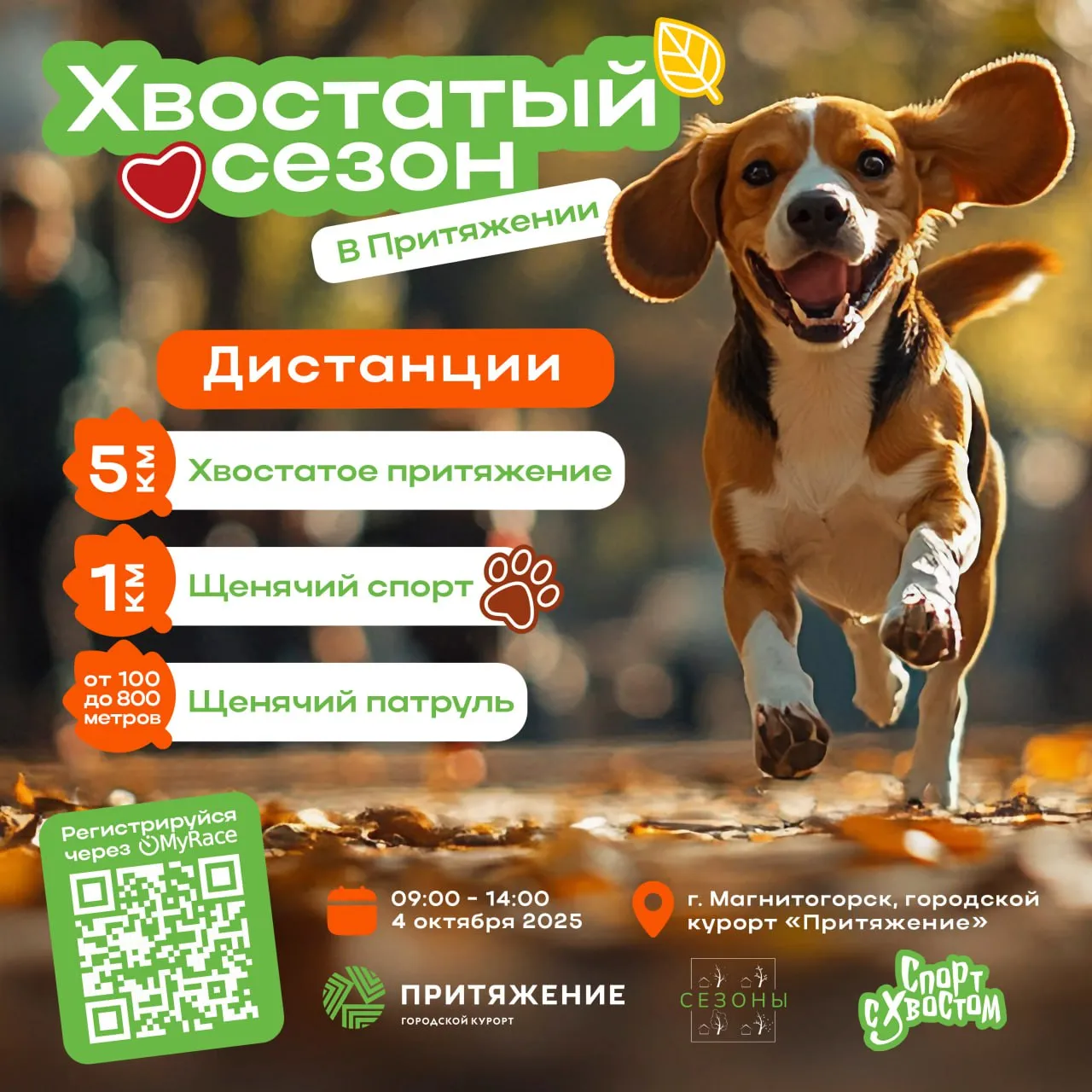Благотворительный «Хвостатый забег» — Спорт и активный отдых, Магнитогорск