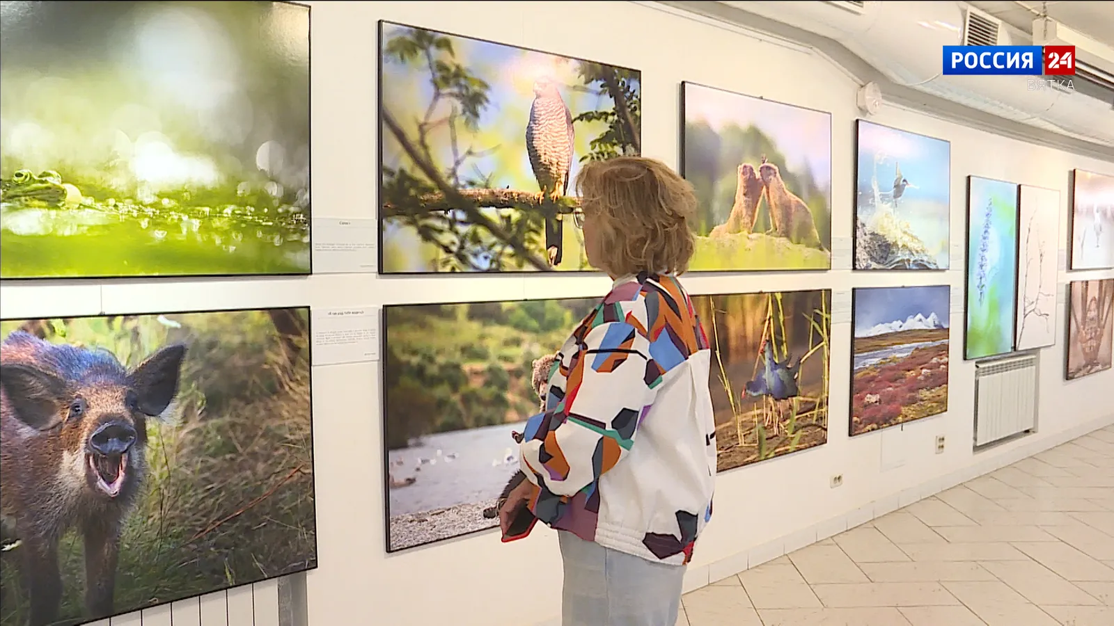 Фотовыставка «Первозданная Россия» — Выставки, Киров