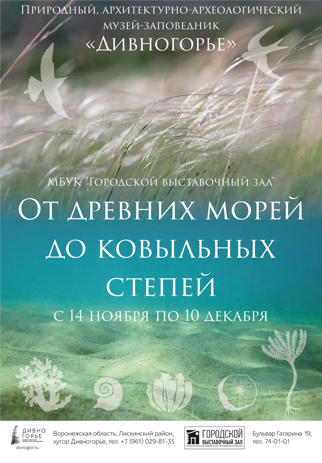 Презентация выставки «От древних морей до ковыльных степей» — Выставки, Старый Оскол