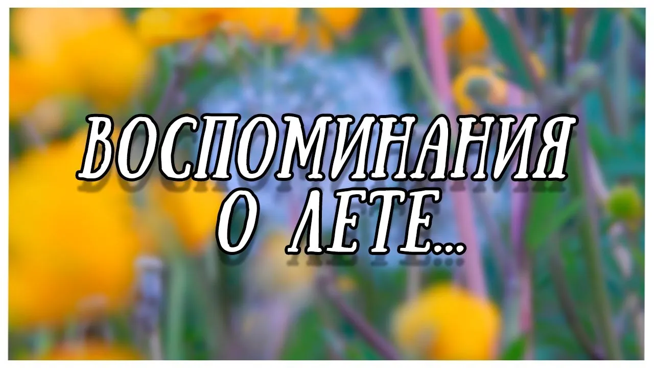 Концертная программа "Воспоминания о лете" — Концерты и музыка, Тольятти