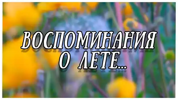 Концертная программа "Воспоминания о лете" — Концерты и музыка, Тольятти