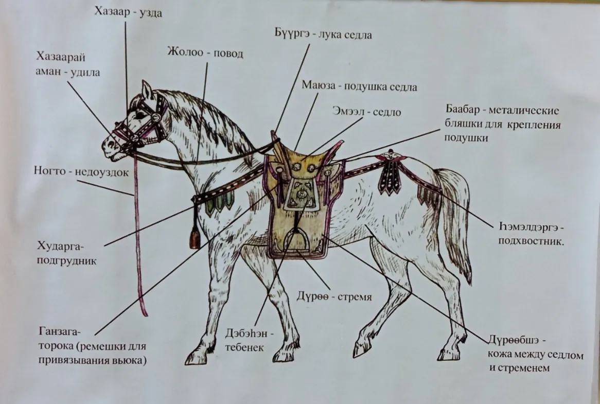 Тематическая беседа «Элементы конской упряжи» — Мастер-классы и обучение, Воронеж
