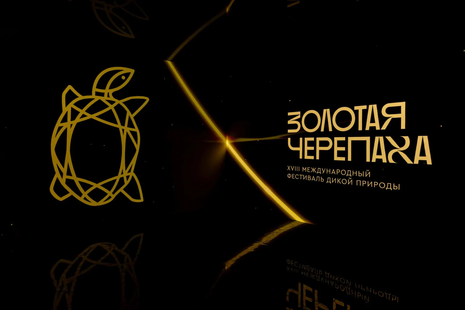 Выставка «Золотая Черепаха» — Выставки, Москва